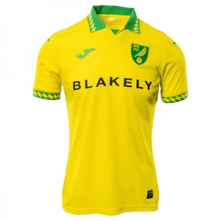Virallinen pelipaita Norwich City Koti 2025-26 Lyhythihainen - Miesten Virallinen pelipaita Norwich City Koti 2025-26 Lyhythihainen - Miesten